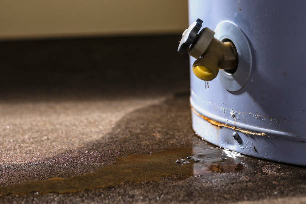Water damage restoration experts in Spokane Valley, WA