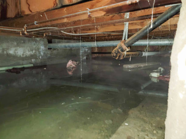 Trusted Spokane Valley, WA Water damage restoration Experts