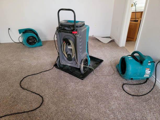 Best Professional water damage repair  in Spokane Valley, WA