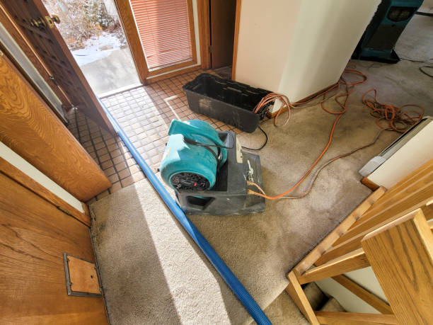 Best Flood damage cleanup  in Spokane Valley, WA