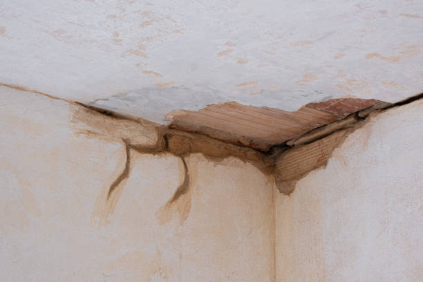 Best 24-hour water damage restoration  in Spokane Valley, WA