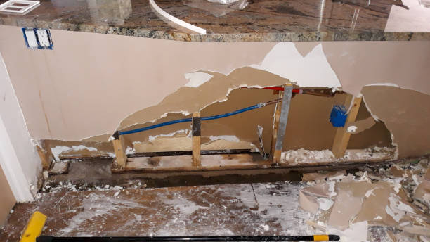 Best Water damage cleanup near me  in Spokane Valley, WA