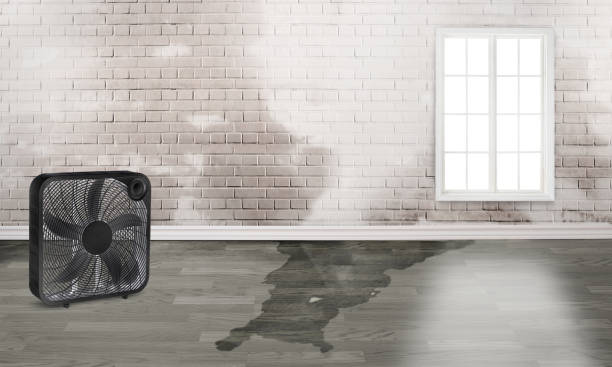 Best Residential water damage restoration  in Spokane Valley, WA