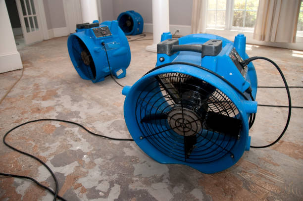Best Mold removal after water damage  in Spokane Valley, WA