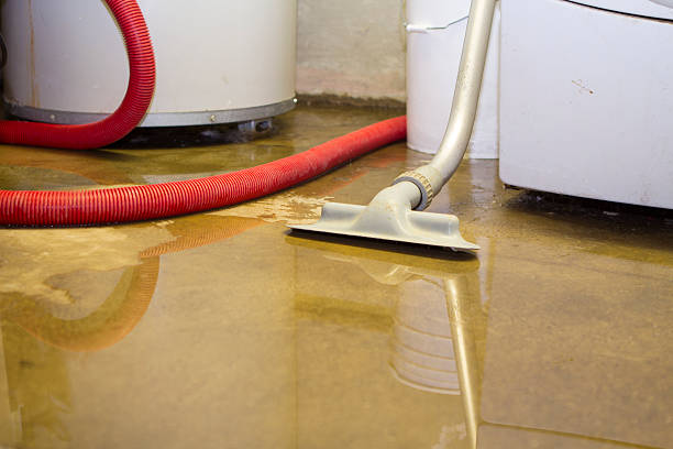 Best Water damage contractors near me  in Spokane Valley, WA