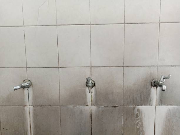 Best Mold removal after water damage  in Spokane Valley, WA