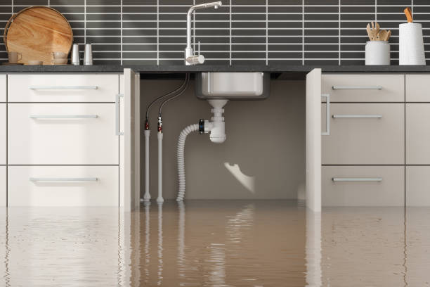 Best Water damage restoration near me  in Spokane Valley, WA