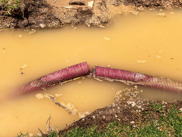 Carpet water damage restoration in Spokane Valley, WA