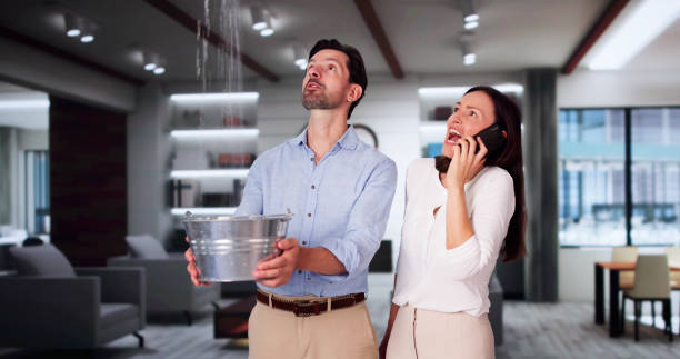 Best Basement water damage restoration  in Spokane Valley, WA