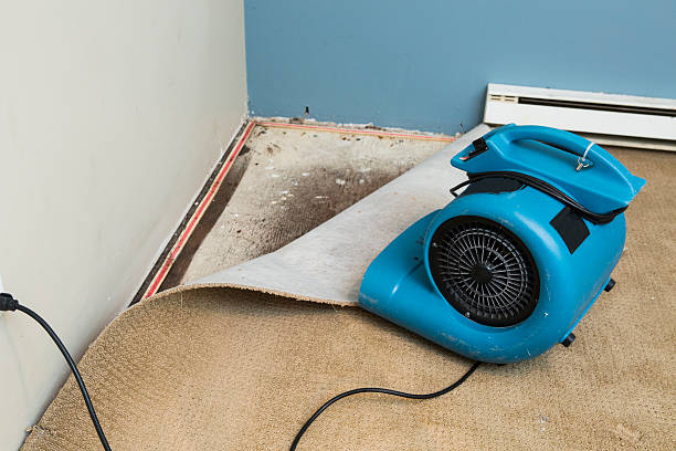 Best 24/7 water damage repair  in Spokane Valley, WA